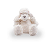 Dog Puppy Bree